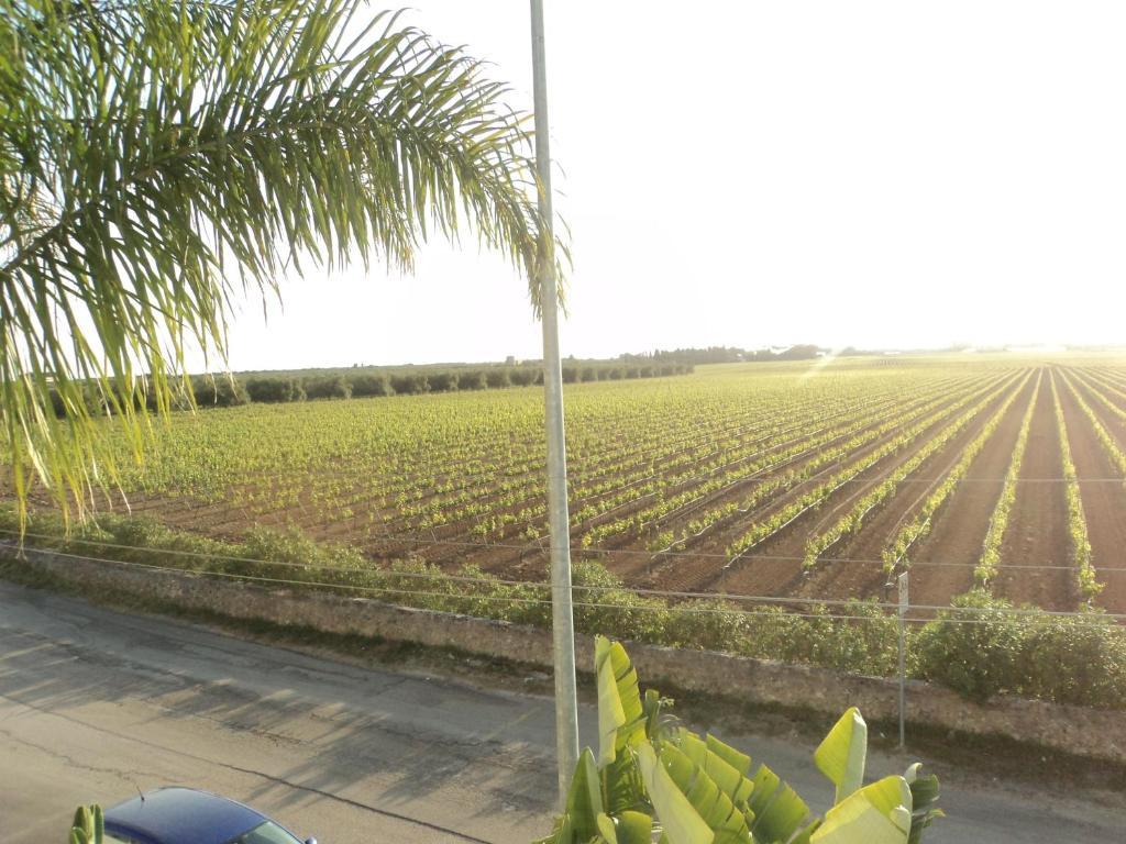 Eco Green La Vigna Leverano Pokoj fotografie